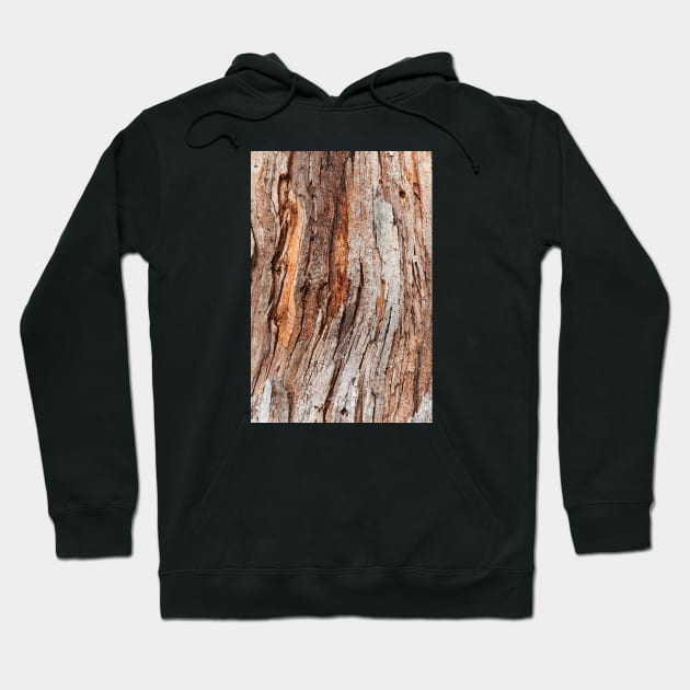 Tree Trunk Bark Surface Hoodie by textural